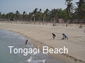 Tongaci Beach